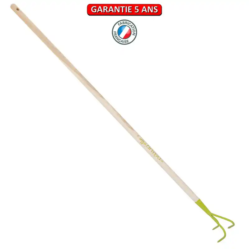 Griffe Piocheuse Forgée