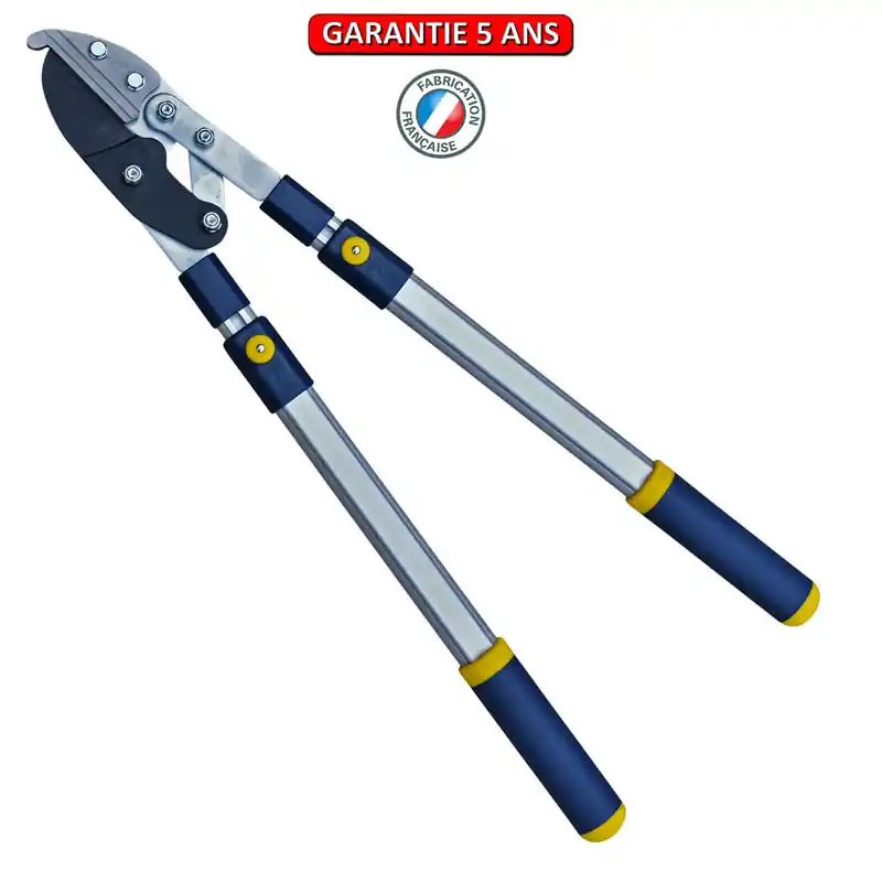 Coupe branche grand modèle manche alu télescopique diamètre de coupe 35 mm