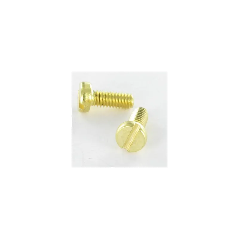 1 x Vis métaux Laiton Tête cylindrique TC Fendue M5X40