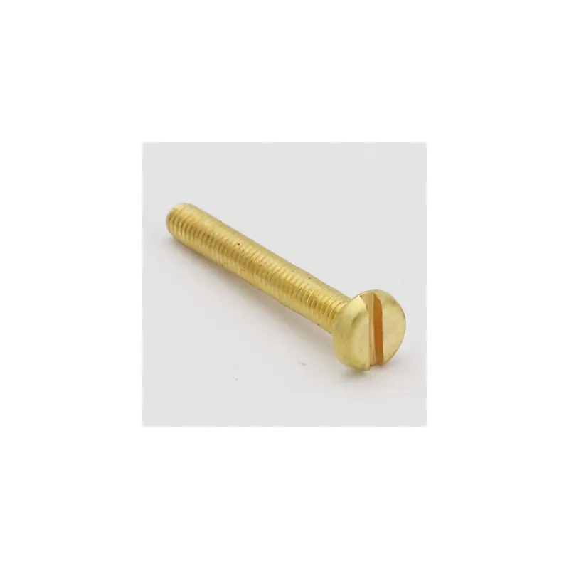 1 x Vis métaux Laiton Tête cylindrique large TCL Fendue M6X12