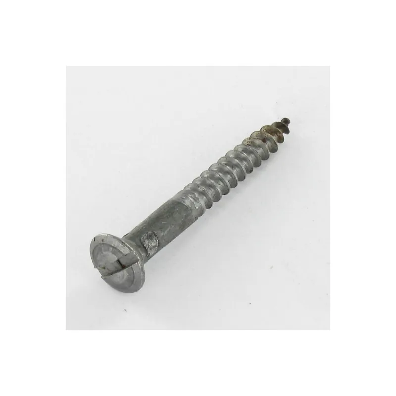 1 x Vis bois Tête fraisée bombée TFB Fendue 5X60 Acier brut
