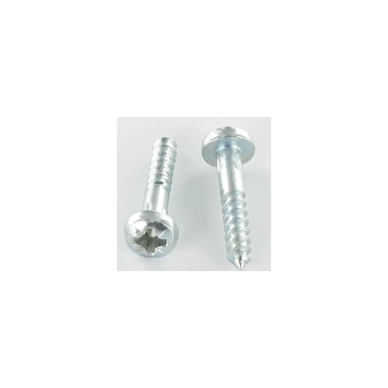 1 x Vis bois Tête ronde TR Pozi N°2 5X60 Acier zingué