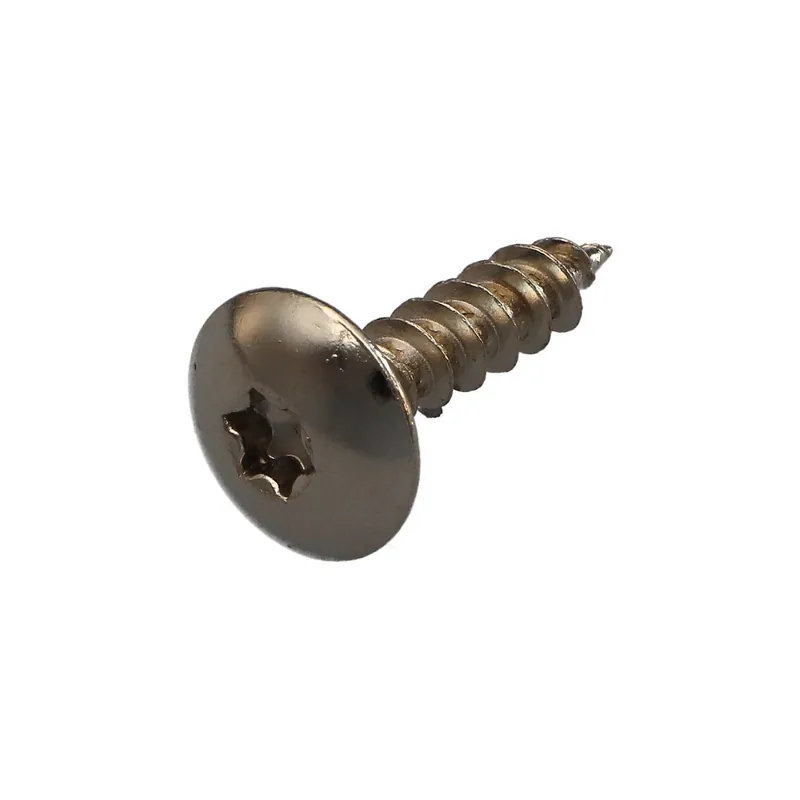 1 x Vis Penture 6X25 Filetage total TORX T30 Acier nickelé