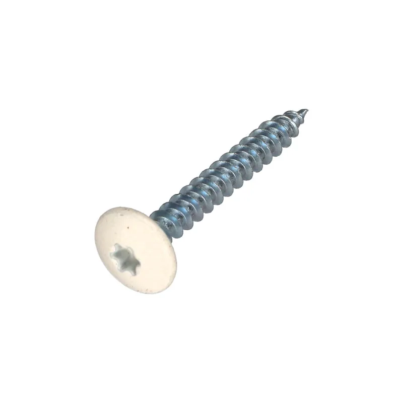 1 x Vis Penture 6X35 Filetage partiel TORX T30 Acier zingué Laqué blanc RAL9010 blanc pur