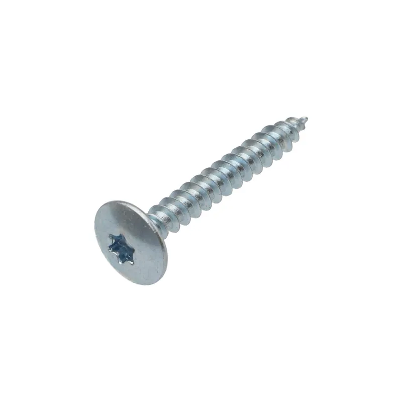 1 x Vis Penture 6X45 Filetage partiel TORX T30 Acier zingué