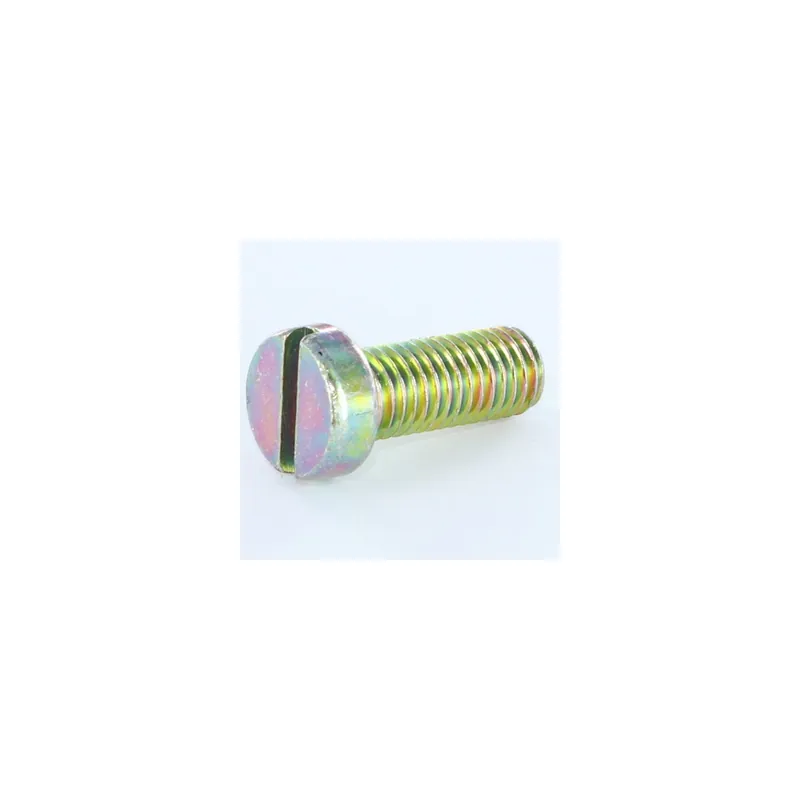 1 x Vis métaux Tête cylindrique TC Fendue M8X12 Bichromaté