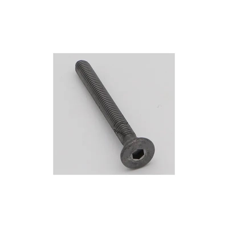1 x Vis métaux Tête cylindrique large TCL Fendue M6X45 Cranté Acier brut