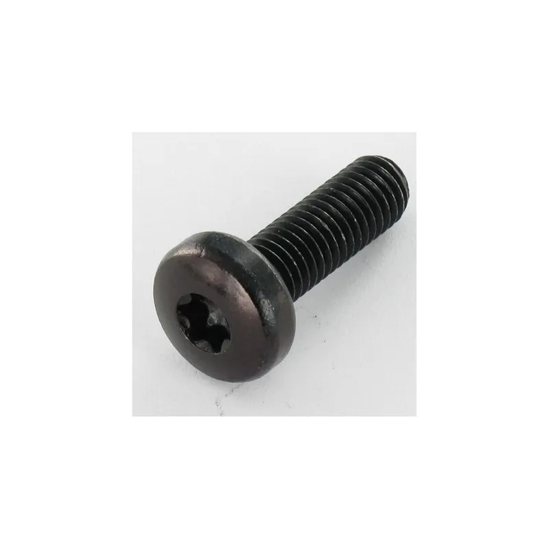 1 x Vis métaux tête cylindrique bombée large TORX T40 M8X25 Acier zingué noir