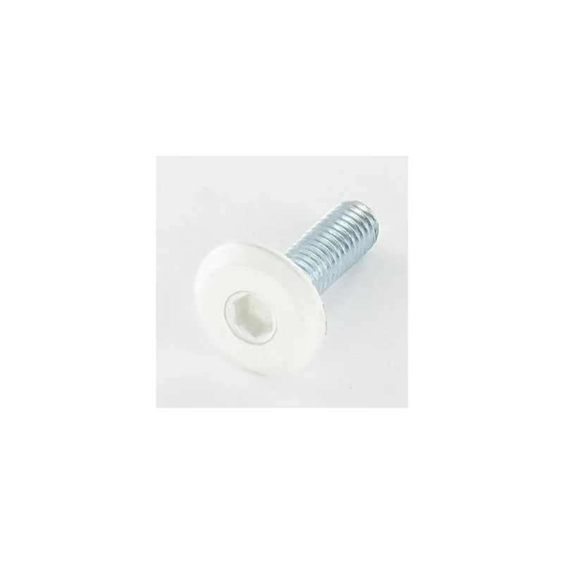 1 x Vis métaux tête plate Clé de 4 HC4 M6X20 Acier zingué Tête RAL9010 blanc pur