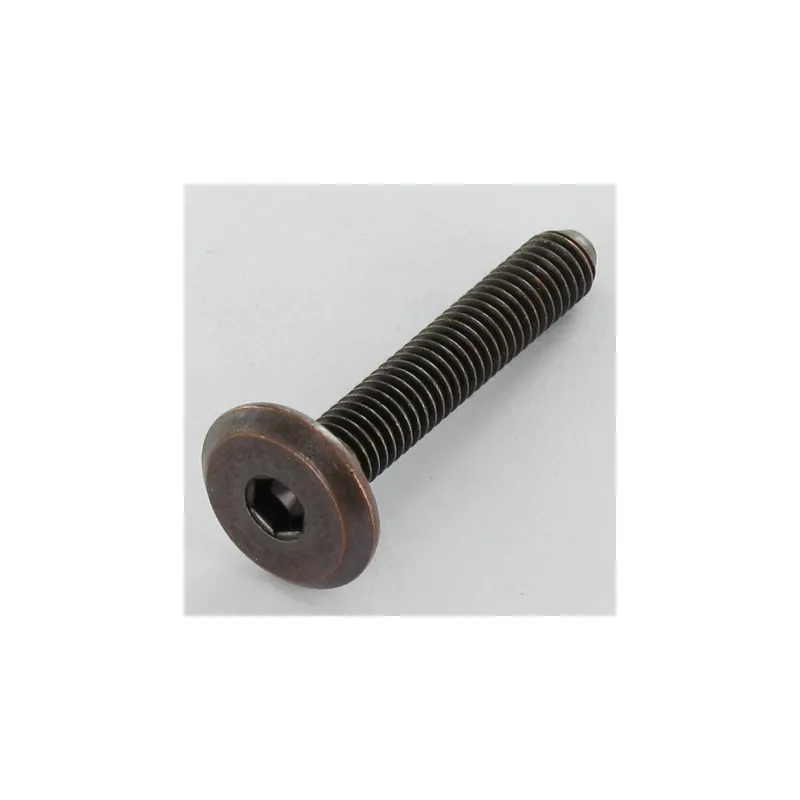 1 x Vis métaux tête plate Clé de 4 HC4 M6X60 acier bronze