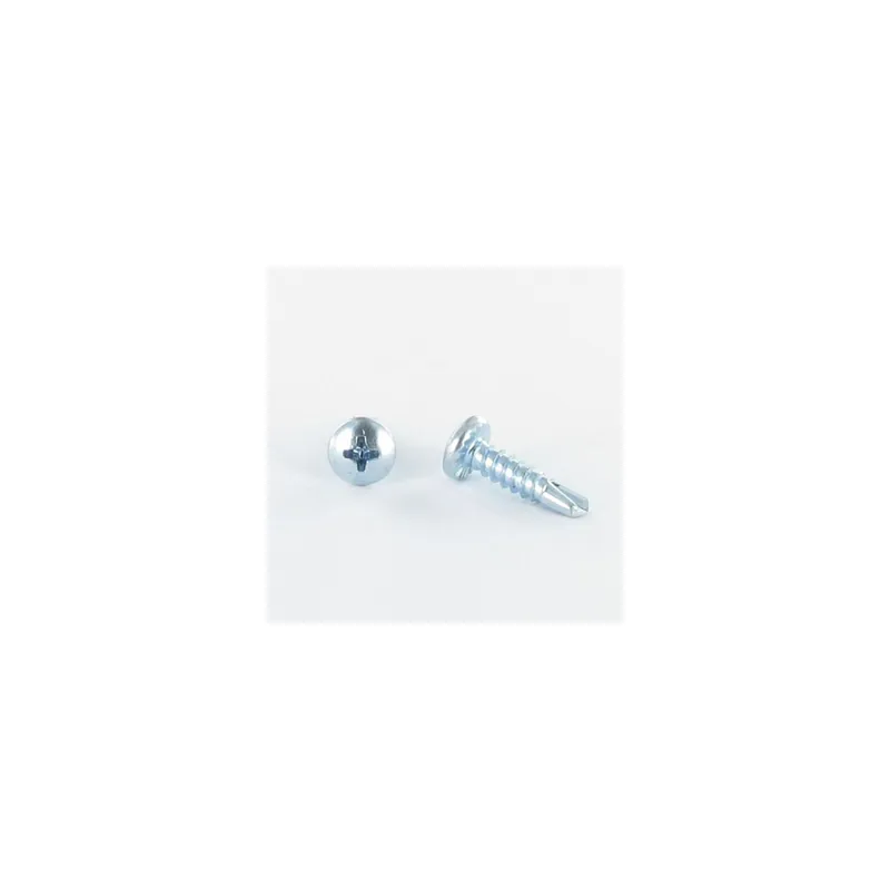1 x Vis autoperceuse Tête cylindrique bombée TCB Phillips 4.8X60 Filet tôle Acier zingué