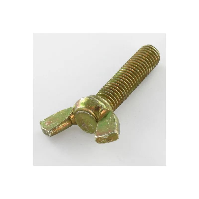 1 x Vis Oreilles M10X40 Forme amEricaine Bichromaté