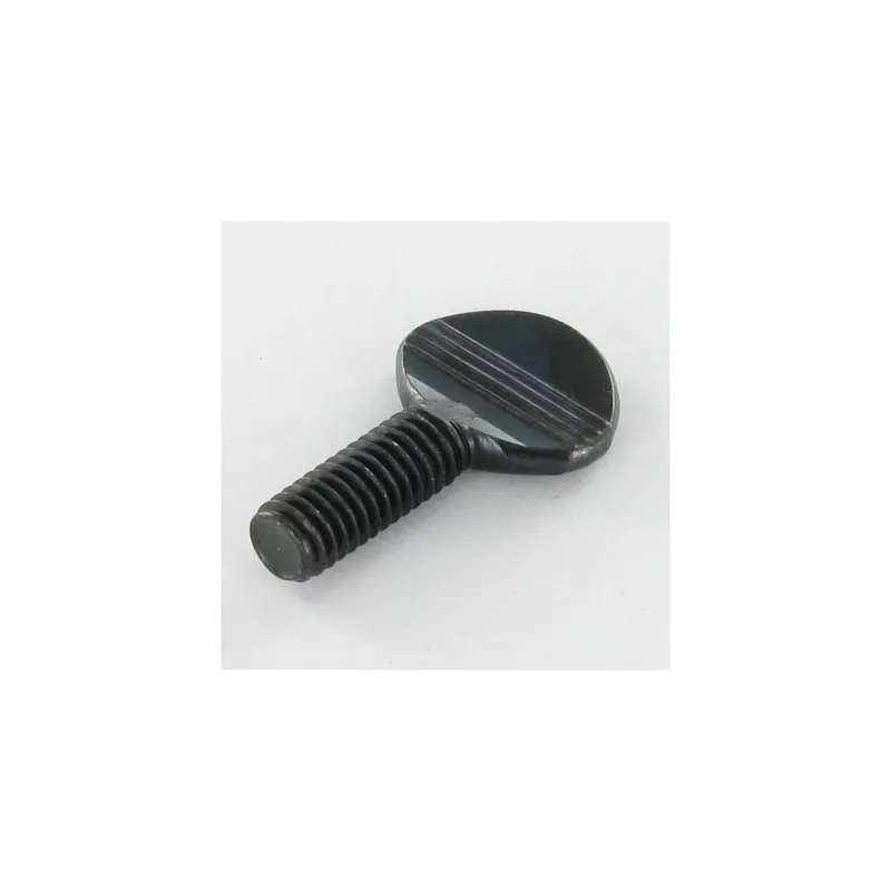 1 x Vis VIOLON M6X15 Acier zingué noir