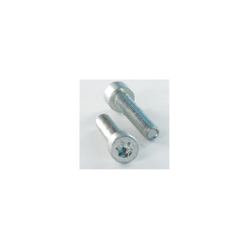 1 x Vis autotaraudeuse Tête cylindrique TC 6X16 TORX T30 Acier zingué