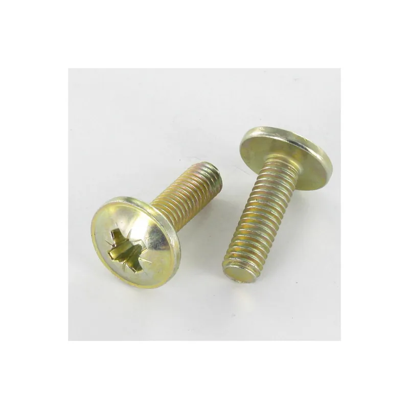 1 x Vis Poelier Pozi M6X24 Diamètre de tête 14.5 Bichromaté