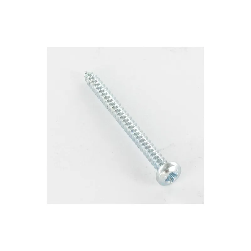 1 x Vis tôle tête cylindrique bombée large Phillips 5.5X32 Acier zingué