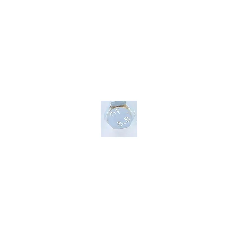 1 x Corps de boulon filetage partiel Tête hexagonale TH M6X50 Classe 8.8 Acier zingué