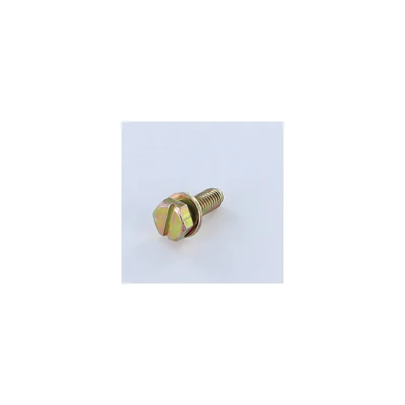 1 x Vis métaux Tête hexagonal fendue M6X18 Avec Rondelle Bichromaté