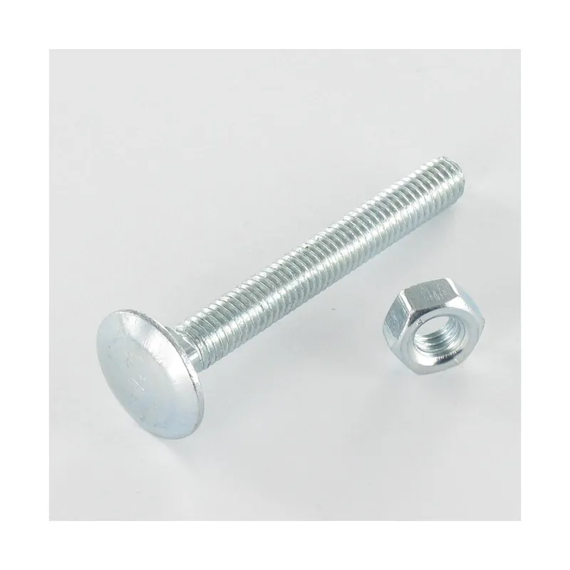 1 x Boulon (vendu avec Ecrou) TRCC JAPY tête ronde collet carré M6X25 Filetage total Acier zingué