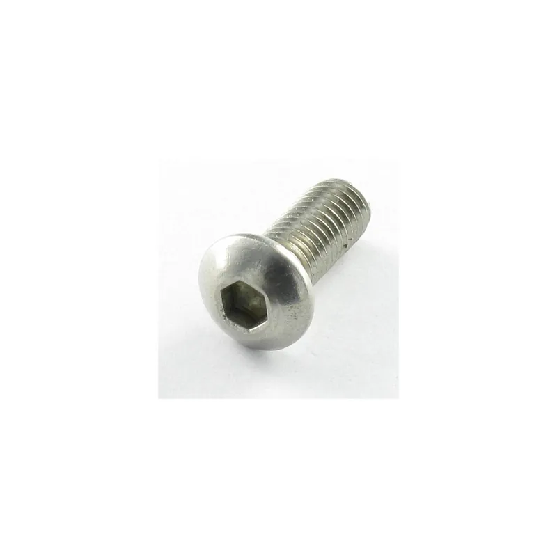 1 x Vis métaux BHC (Tête Bombée Hexagonal creux) M10X20 Filetage total Classe 10.9 Clé de 6 HC6 Acier zingué