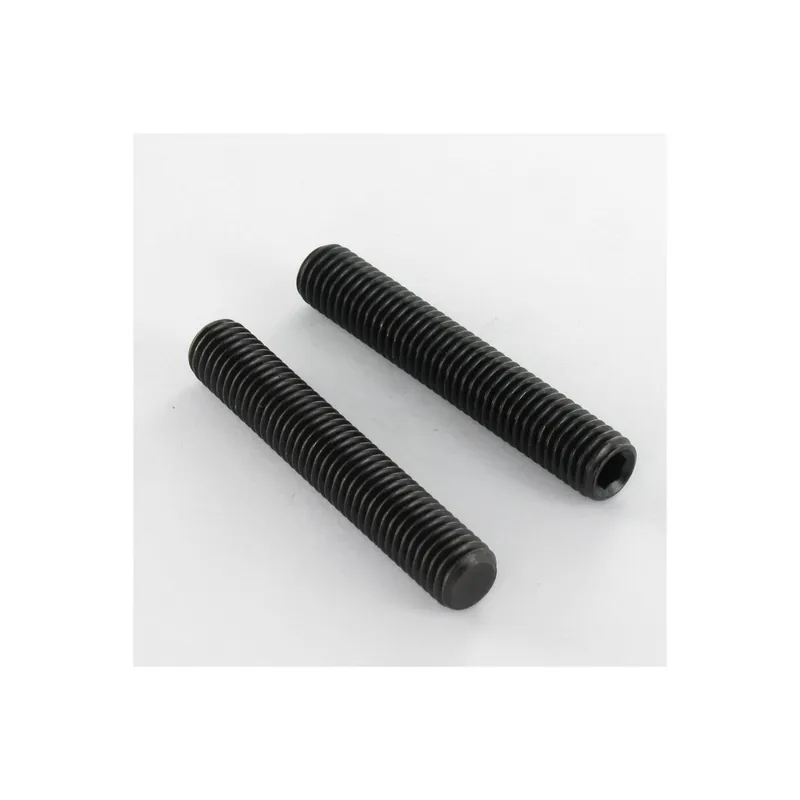 1 x Vis métaux Sans tête six pans creux (sthc) Clé de 12 HC12 M22X25 Bout plat Acier brut