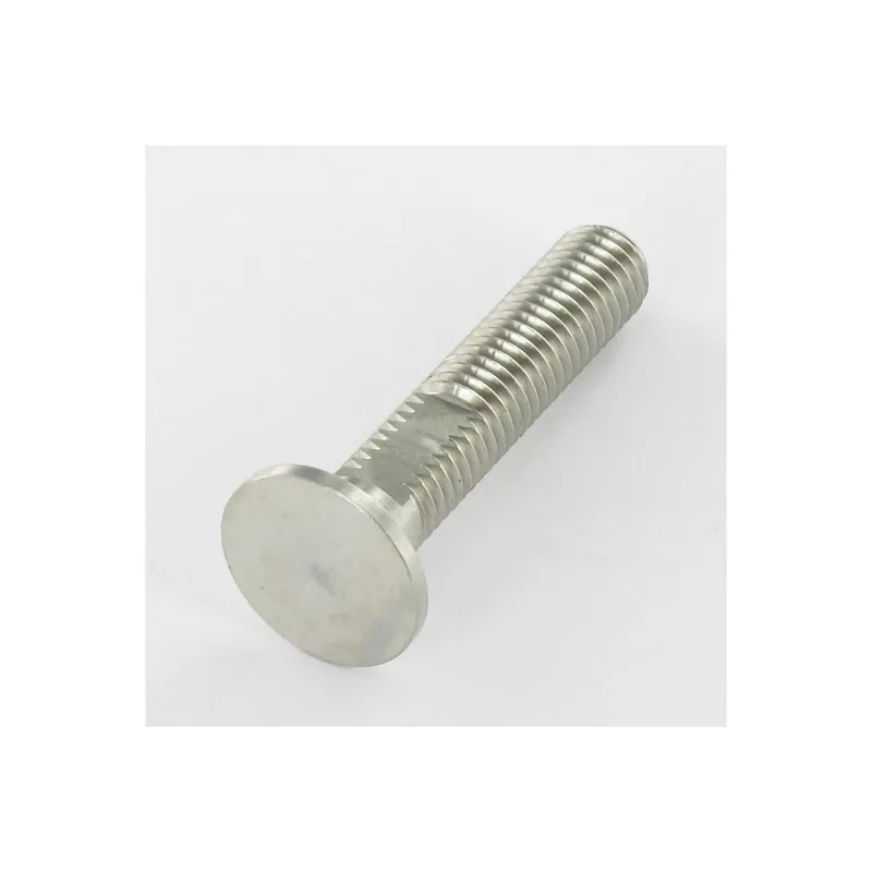 1 x Vis métaux Tête Plate A/MEPLAT 20X50 Filetée sur 43 M10 Inox