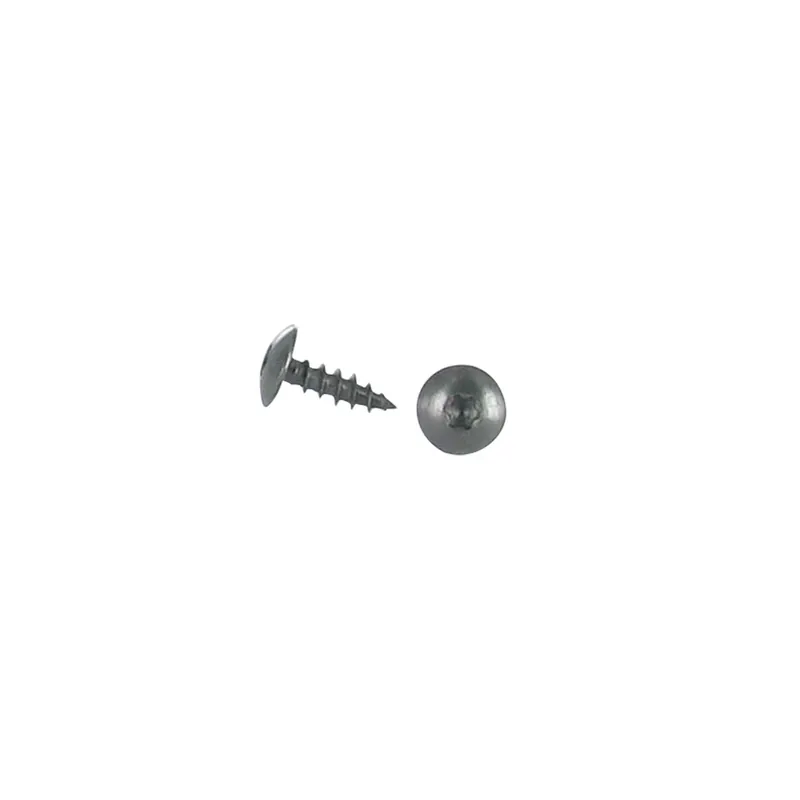 1 x Vis Penture 6X30 Filetage total TORX T30 Inox A2 Noir