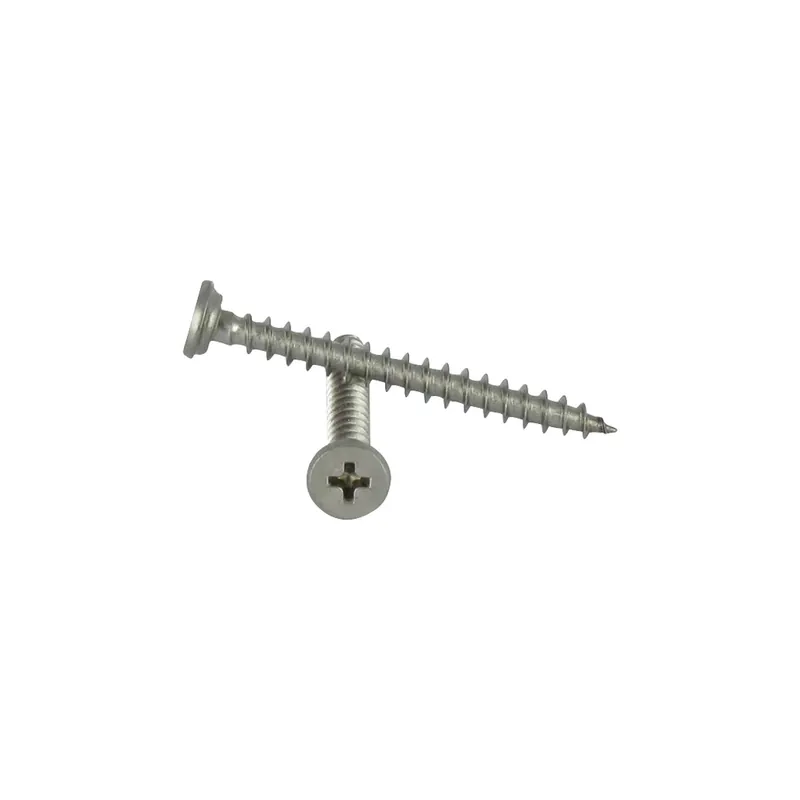 1 x Vis pvc Inox A2 Tête cylindrique TC Phillips 5X46
