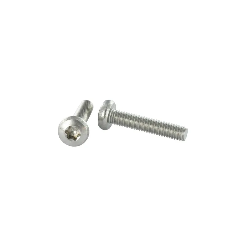 1 x Vis métaux tête cylindrique bombée large Inox A2 M5X60 TORX T25