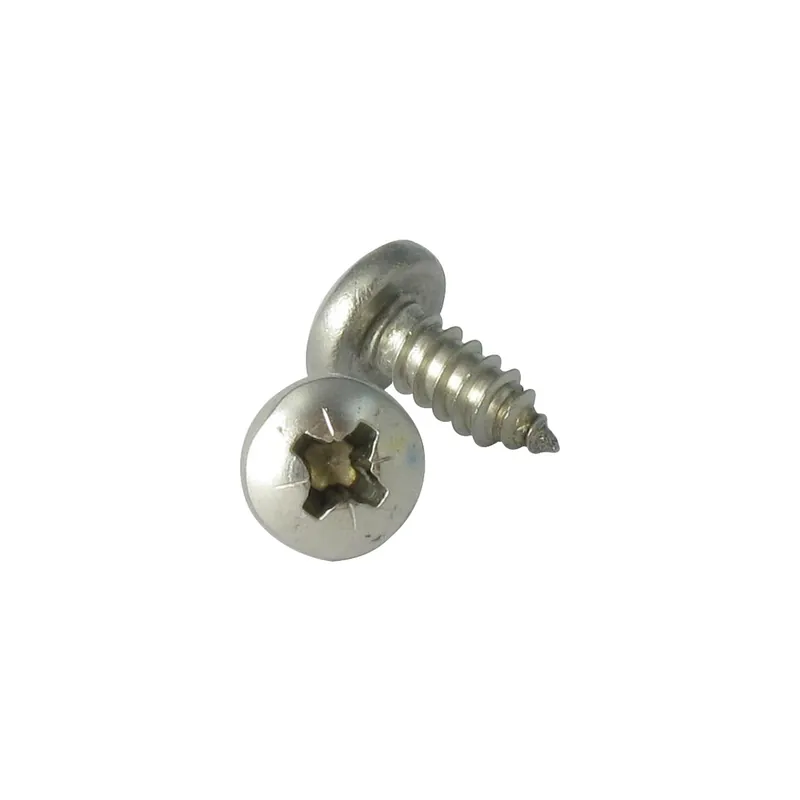 1 x Vis tôle Inox A2 tête cylindrique bombée large Pozi 5.5X45
