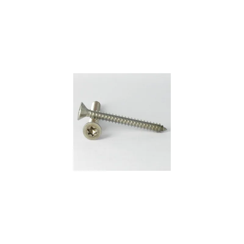 1 x Vis tôle Tête fraisée TORX T20 4.8X50 Inox A2