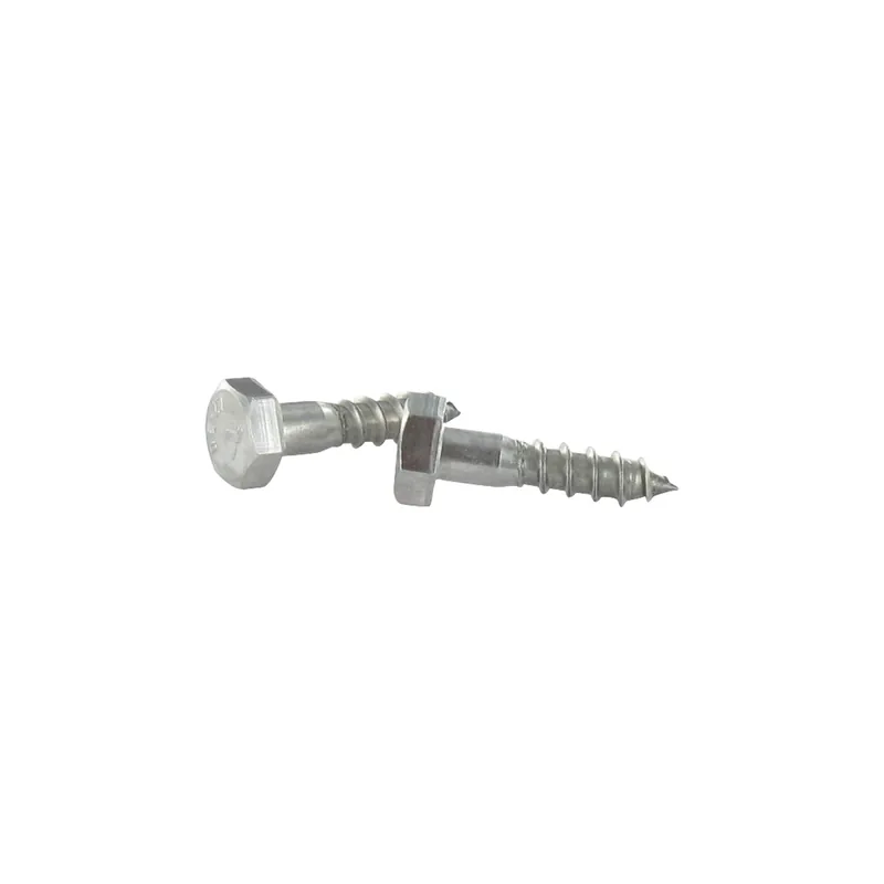 1 x Tirefonds Inox A2 8X120