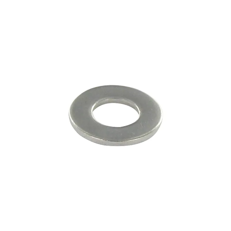 1 x Rondelle Plate M22X55X3 L Inox A2