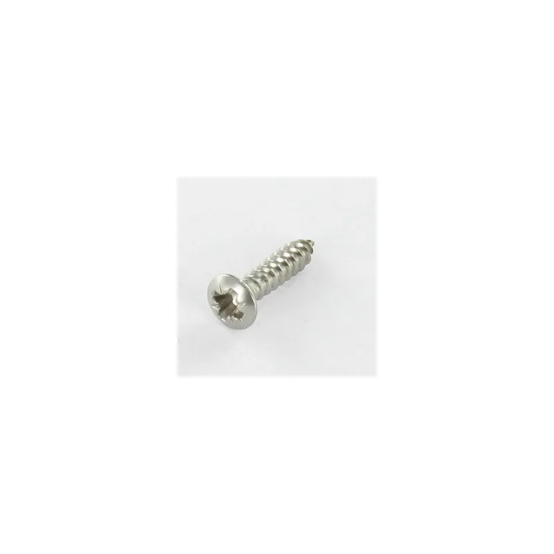 1 x Vis tôle Tête fraisée bombée TFB Pozi 6.3X25 Inox A4