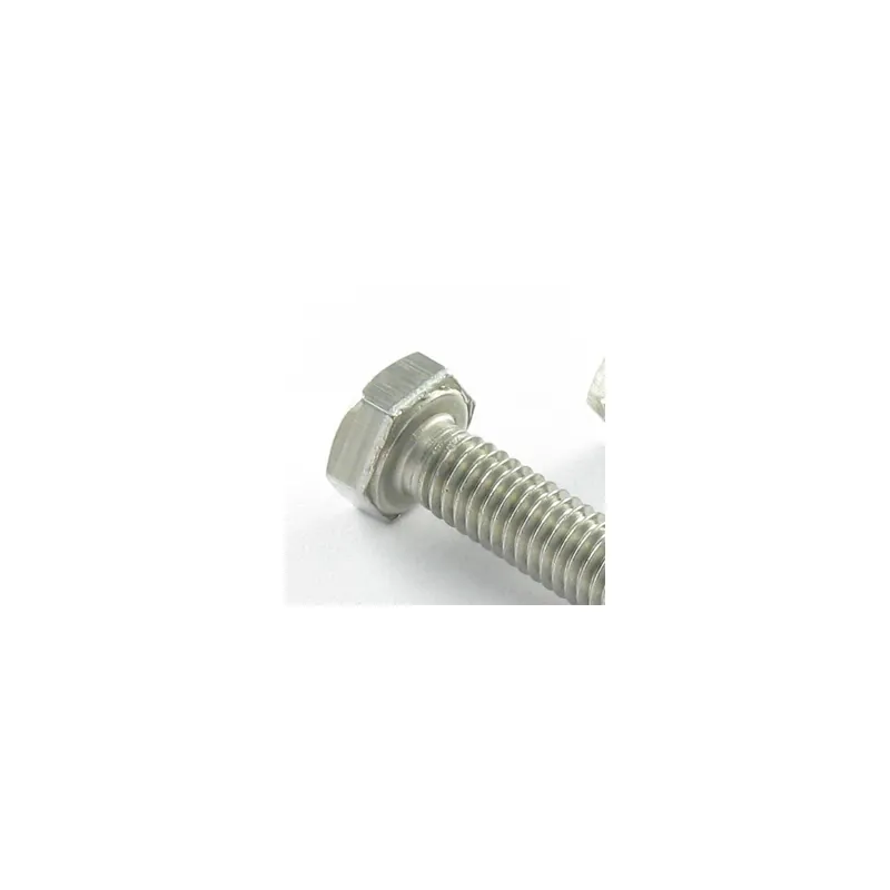 1 x Vis métaux Tête hexagonale TH M27X100 Inox A4