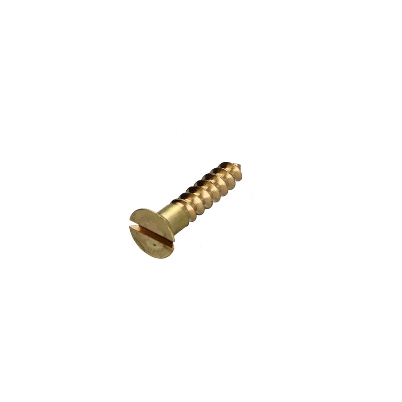 1 x Vis bois Laiton Tête fraisée Fendue 2.5X12 microvis