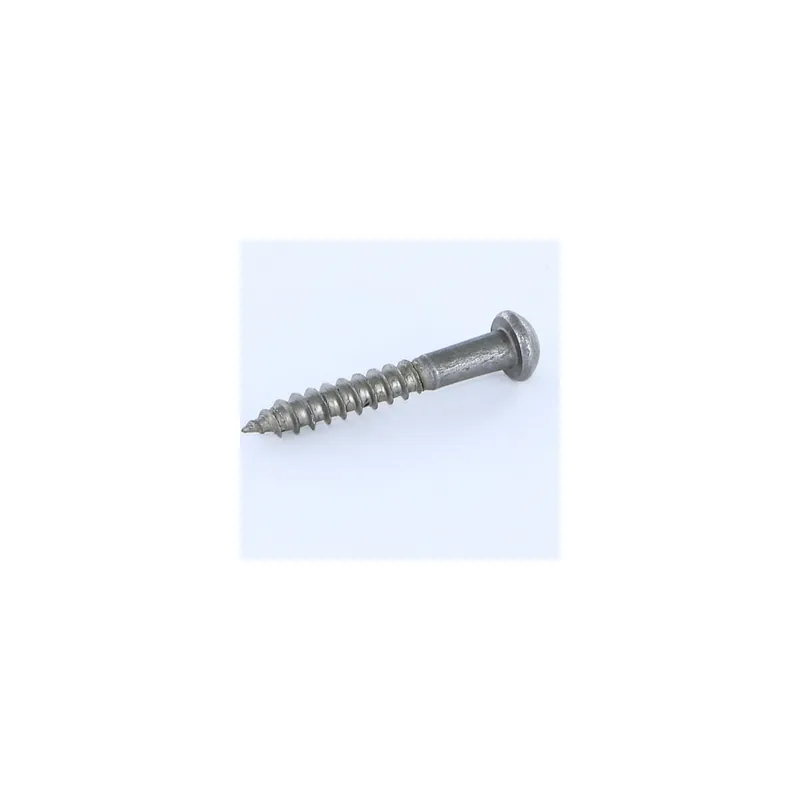 1 x Vis bois Tête ronde TR Fendue 5X35 Acier brut