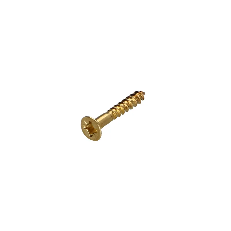 1 x Vis bois Tête fraisée Pozi N°1 2.5X16 Acier laitonne microvis