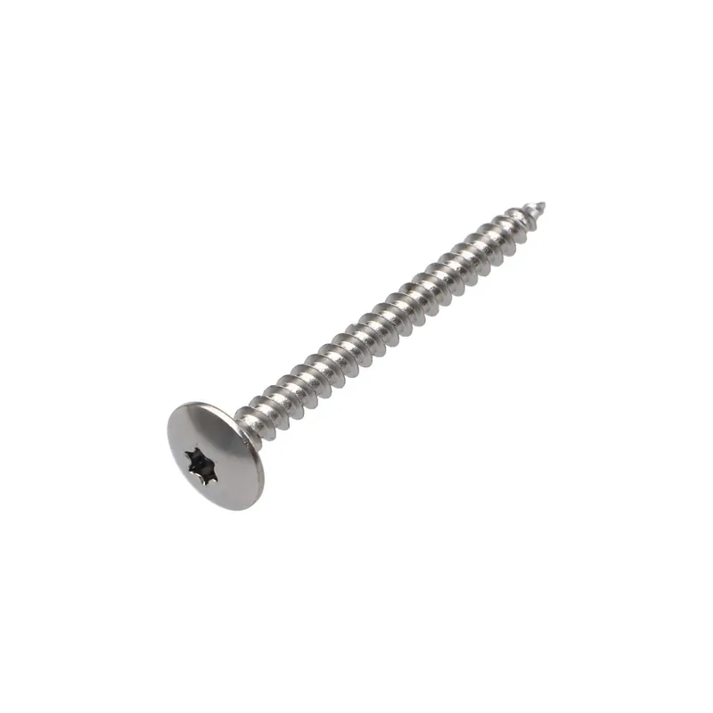 1 x Vis Penture 4.5X50 Filetage total TORX T20 Acier chrome