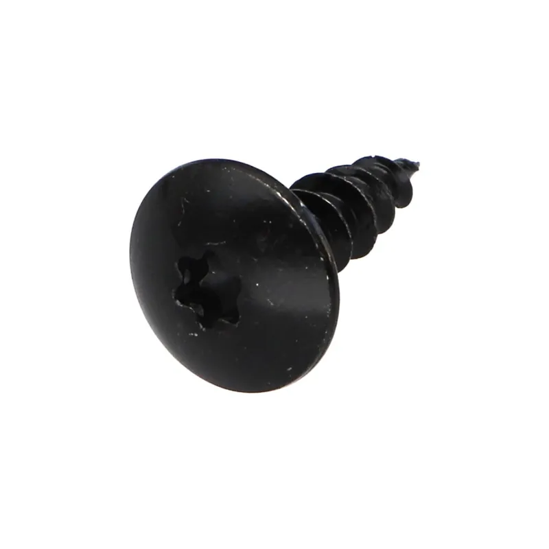 1 x Vis Penture 5.5X16 Filetage total TORX T30 Acier zingué noir