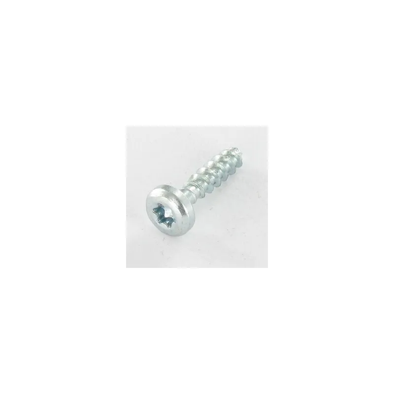 1 x VBA Vis bois agglo Tête ronde TR TORX T20 4X20 Sans pointe Acier zingué