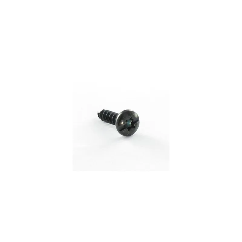 1 x Vis pvc Poelier TORX T20 + Fendue 4X16 Acier zingué noir