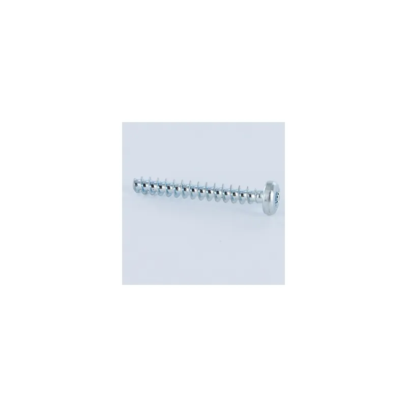 1 x Vis pvc Tête cylindrique TC TORX T20 4X10 Acier zingué