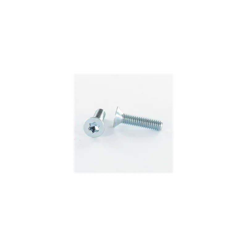 1 x Vis métaux Tête fraisée TORX T40 M8X50 Classe 10.9 Acier zingué