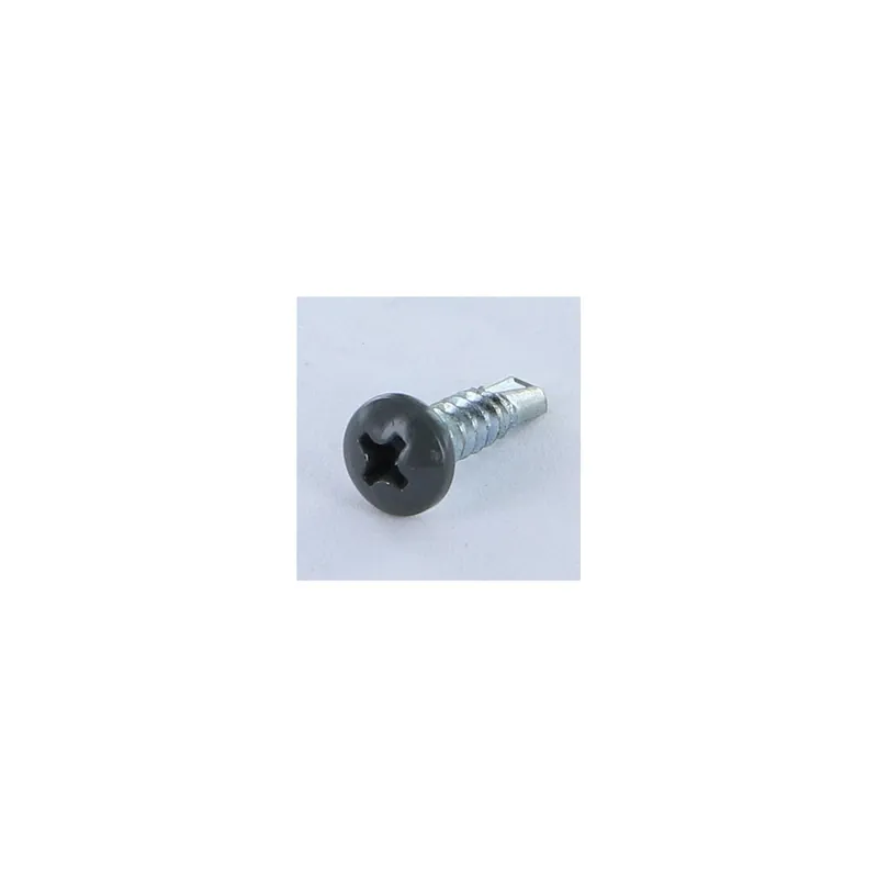 1 x Vis autoperceuse Tête cylindrique bombée TCB Phillips 4.2X16 Acier zingué LAQ 7043
