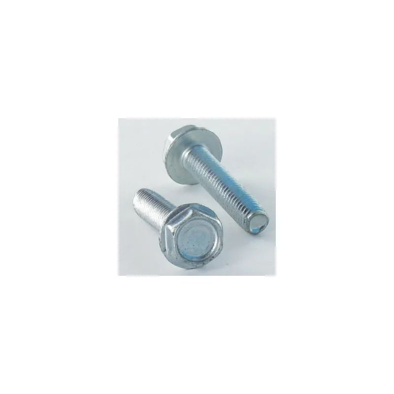 1 x Vis autotaraudeuse Tête hexagonale TH Embase collerette Lisse 4X10 Acier zingué