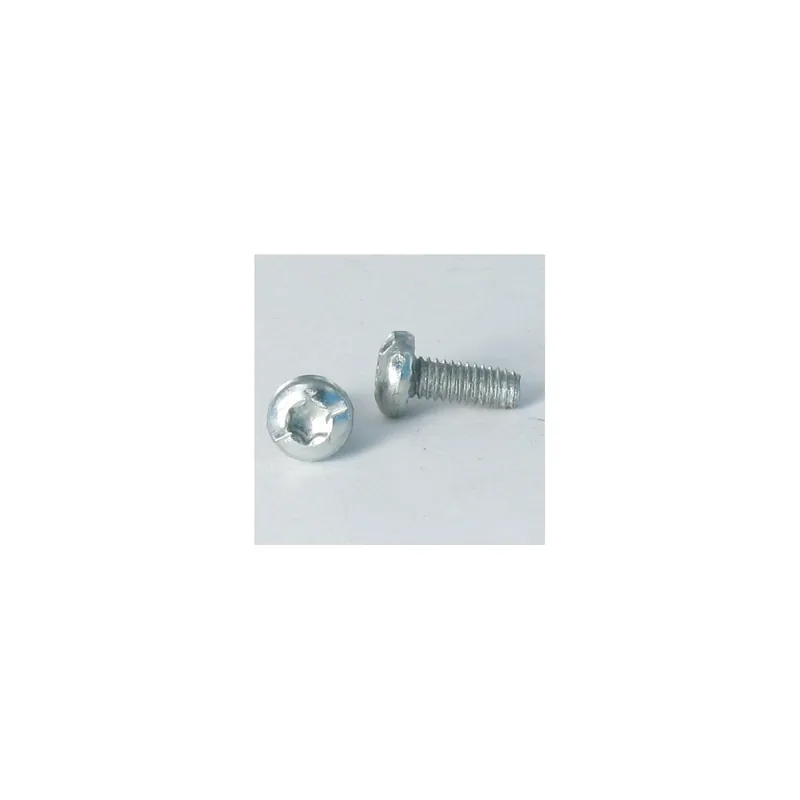 1 x Vis autotaraudeuse Tête cylindrique TC TORX Filetée sur Fendue 4X10 Cranté Acier zingué