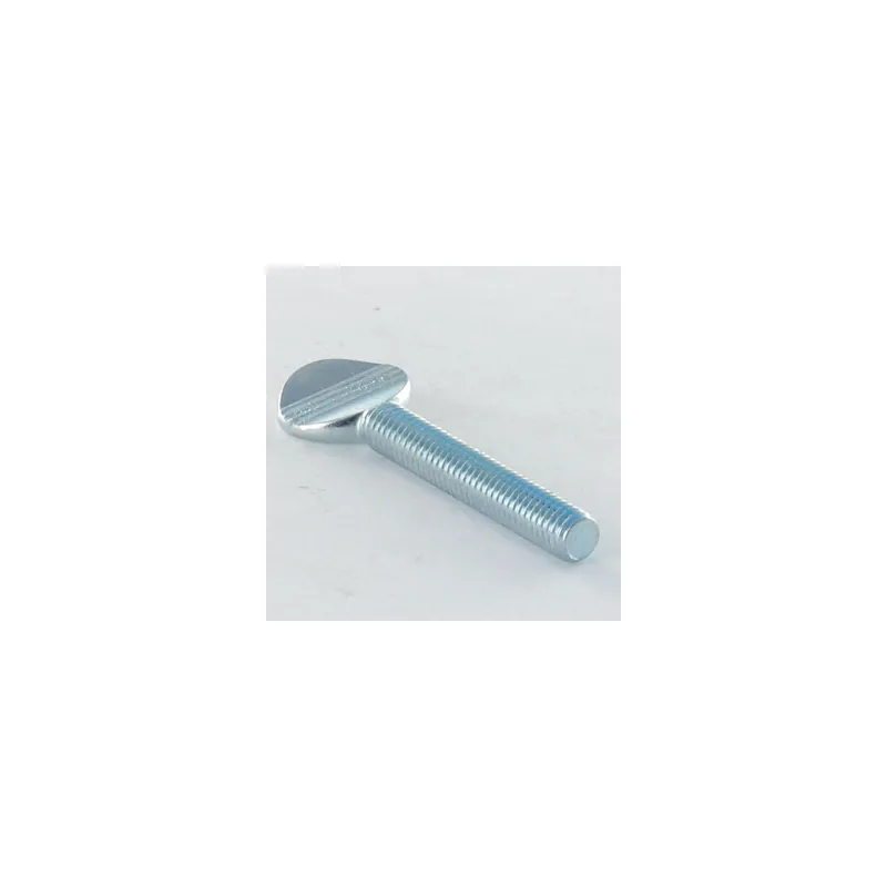 1 x Vis VIOLON M4X10 Acier zingué
