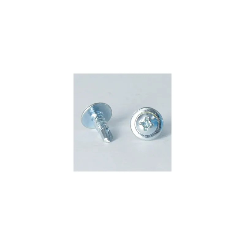 1 x Vis autoperceuse Tête ronde large Phillips Sans Cranté 4.8X35 Acier zingué
