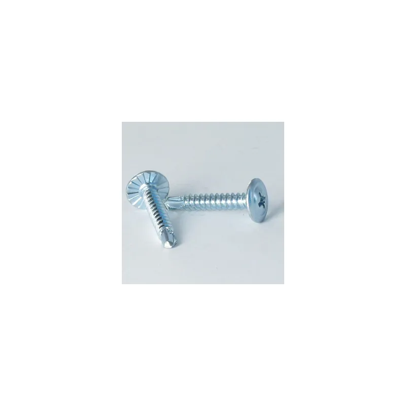 1 x Vis autoperceuse Tête ronde large Phillips Cranté 4.2X13 Acier zingué